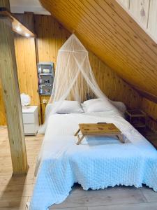 a bedroom with a bed with a mosquito net at Agro Bieszczady 2 in Czarna
