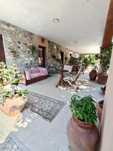 a living room with potted plants and a stone wall at Podere il Gallo Agriturismo in Campiglia Marittima