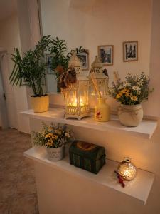 a shelf with potted plants and a light on it at Rouchotas Studios by Viktor 1rst Floor in Argostoli