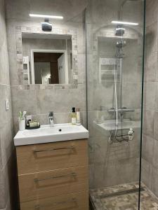 a bathroom with a sink and a shower with a mirror at Cozy studio with pool near the seaside in Roquebrune-sur-Argens +9 photos