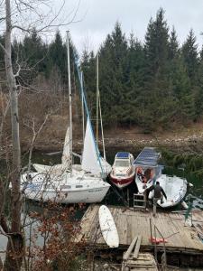 a group of boats sitting on a dock in the water at Nautic Colibița in Colibiţa +1 photo