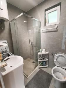 a bathroom with a shower and a toilet and a sink at SM Studio Apartman in Tivat