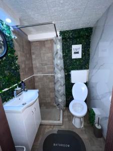 a bathroom with a toilet and a green wall at Apartman Podroom in Kraljevo +12 photos