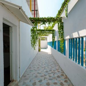 a corridor of a building with ivy on the walls at Casa Daguer Beach House in Cartagena de Indias