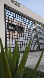 a plant in front of a building at Casa León Cerca del Aeropuerto Internacional y Parques Industriales, Facturamos in Monterrey