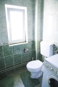 a green bathroom with a toilet and a window at House Duzi in Duži +31 photos