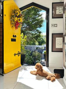 a teddy bear sitting in front of a yellow door at The K Kinsale in Kinsale
