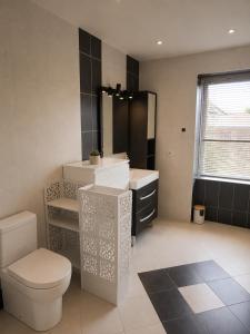 a bathroom with a toilet and a sink at Résidence d'Emilie in Luxeuil-les-Bains