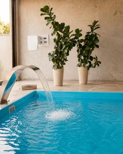 a water fountain in a pool with two potted plants at Pousada Vó Santina in Protásio Alves