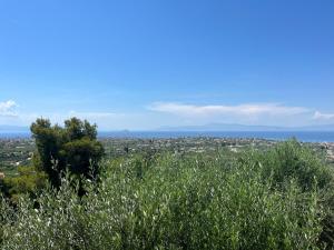 a view of a city from the top of a tree at Golden Hour on the Hill in Aegina
