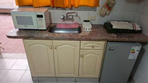 a kitchen counter with a microwave and a sink at Alto Unimev II in Guaymallen