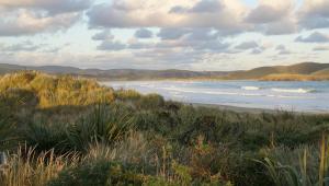 a beach with the ocean and mountains in the background at Hideaway Beach Cottage in Curio Bay