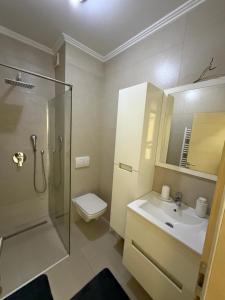 a bathroom with a shower and a toilet and a sink at Mimi's Place in Gradačac