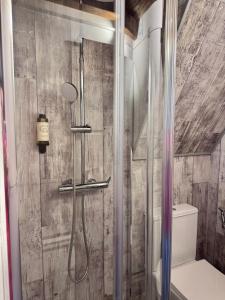 a bathroom with a shower with a toilet at Casa das Portas de Évora in Estremoz +56 photos