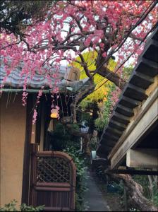 a flowering tree next to a house with a staircase at Guesthouse Nara Backpackers in Nara