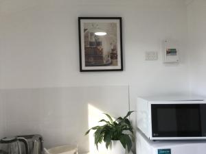 a living room with a tv and a plant at The Croft Bed and Breakfast in Murwillumbah