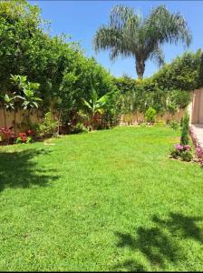 a yard with a green lawn with a palm tree at فيلا تسنيم للعائلات in Naj‘ al Aḩwāl