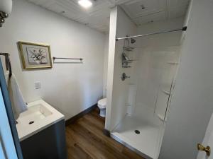 a bathroom with a shower and a sink and a toilet at House # 9 in Las Vegas