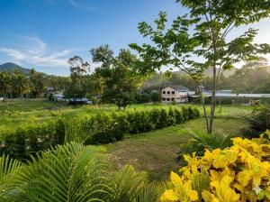 a garden with yellow flowers and a house in the background at Nirvana Phangan Villas - Luxury & Serenity in Wok Tum