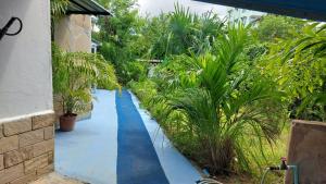 a walkway with blue paint on the floor and plants at Nyali Garden Escape Villa in Mombasa