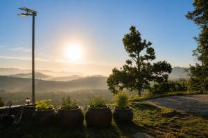a row of plants in pots on a hill with a view at THỎ NON GARDEN CLOUDY OCEAN VIEW in Blao Srê