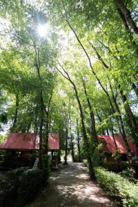 a path through a forest with two buildings and trees at Akchanok Homestay - Nature Retreat in Phitsanulok +141 photos