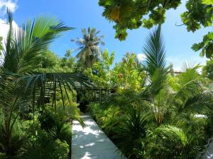 a view of a tropical garden with palm trees at Oceana Surf Maldives - Kudahuvadhoo Island Surf Retreat in Kudahuvadhoo