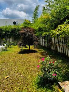 a garden with a tree in the middle of a yard at VILLA 3 CHAMBRES a partager in Nathon Bay