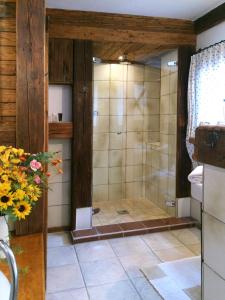 La salle de bains est pourvue d'une douche avec une porte en verre. dans l'établissement Romantikzimmer Jakobbauer, à Turnau