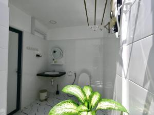 a bathroom with a toilet and a plant in it at Oceana Surf Maldives - Kudahuvadhoo Island Surf Retreat in Kudahuvadhoo +55 photos