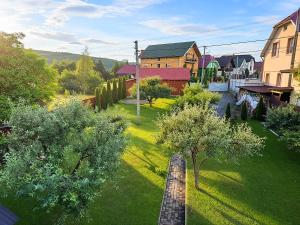 an aerial view of a yard with trees and houses at Котедж в горах у Антоніни in Solochyn