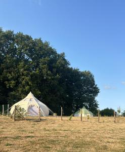 two tents in a field with trees in the background at Sunrise Tent in Sageau