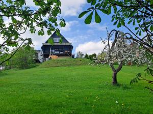 a house on top of a hill with a tree at Tuule in Jeedasküla