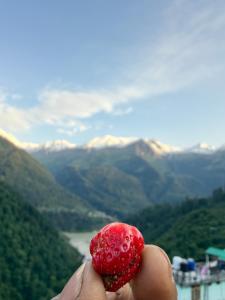 a person holding a red fruit with mountains in the background at Sunset Inn tosh in Tosh
