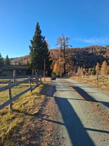 a dog walking down a road next to a fence at Fewo-Mirnig in Hochrindl