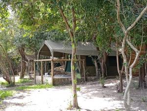 a tent in the middle of some trees at Kashete Plains Expedition & Campsite - Okavango Eastern Panhandle in Goa