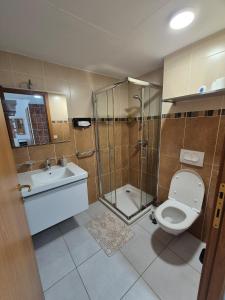 a bathroom with a shower and a toilet and a sink at Charmant T2 in Calvi +31 photos