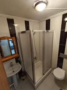 a bathroom with a shower and a toilet and a sink at Long Lake pansiyon in Uzungöl +37 photos