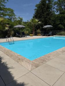 a large blue swimming pool with chairs and umbrellas at Gite Matilon, 5 min Eugénie les Bains in Buanes
