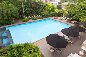 an overhead view of a swimming pool with umbrellas at Ramada Colombo in Colombo