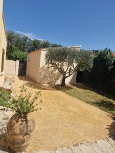 a vase with a plant in it next to a building at L'escale Provençale in Pierrelatte +6 photos
