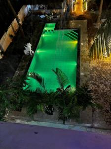 a green swimming pool with plants in a room at Muthu Seaview Residency in Kuilapayam