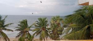 a view of a beach with palm trees and the ocean at Muthu Seaview Residency in Kuilapayam