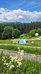 a view of a field with a pool and trees at Nomad Hill Cabins in Rugineşti