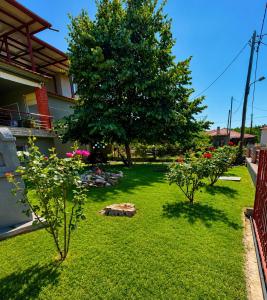 a yard with a tree and some bushes at Filemial House in Agios Mamas