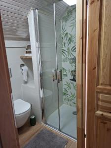 a bathroom with a toilet and a glass shower at Sielanka na Kociewiu in Skrzynia +19 photos