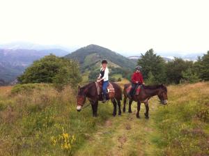 two people are riding horses on a field at Ciel d'Ardeche in Lachamp-Raphaël