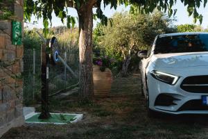 a white car parked next to a parking meter at Quinta Essentia Suites in Foiníki