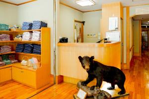 a bear statue sitting on a table in a room at Shibuonsen YAMAICHIYA in Yamanouchi