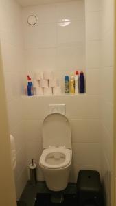 a bathroom with a toilet with a shelf with cleaning products at Whole building for yourself in Amsterdam